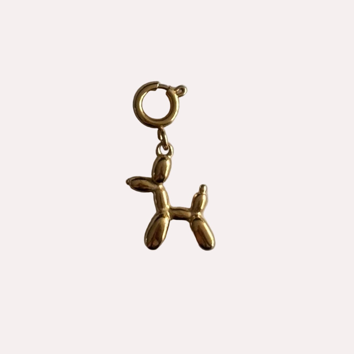 Kleine gouden baloon hond bedel RVS