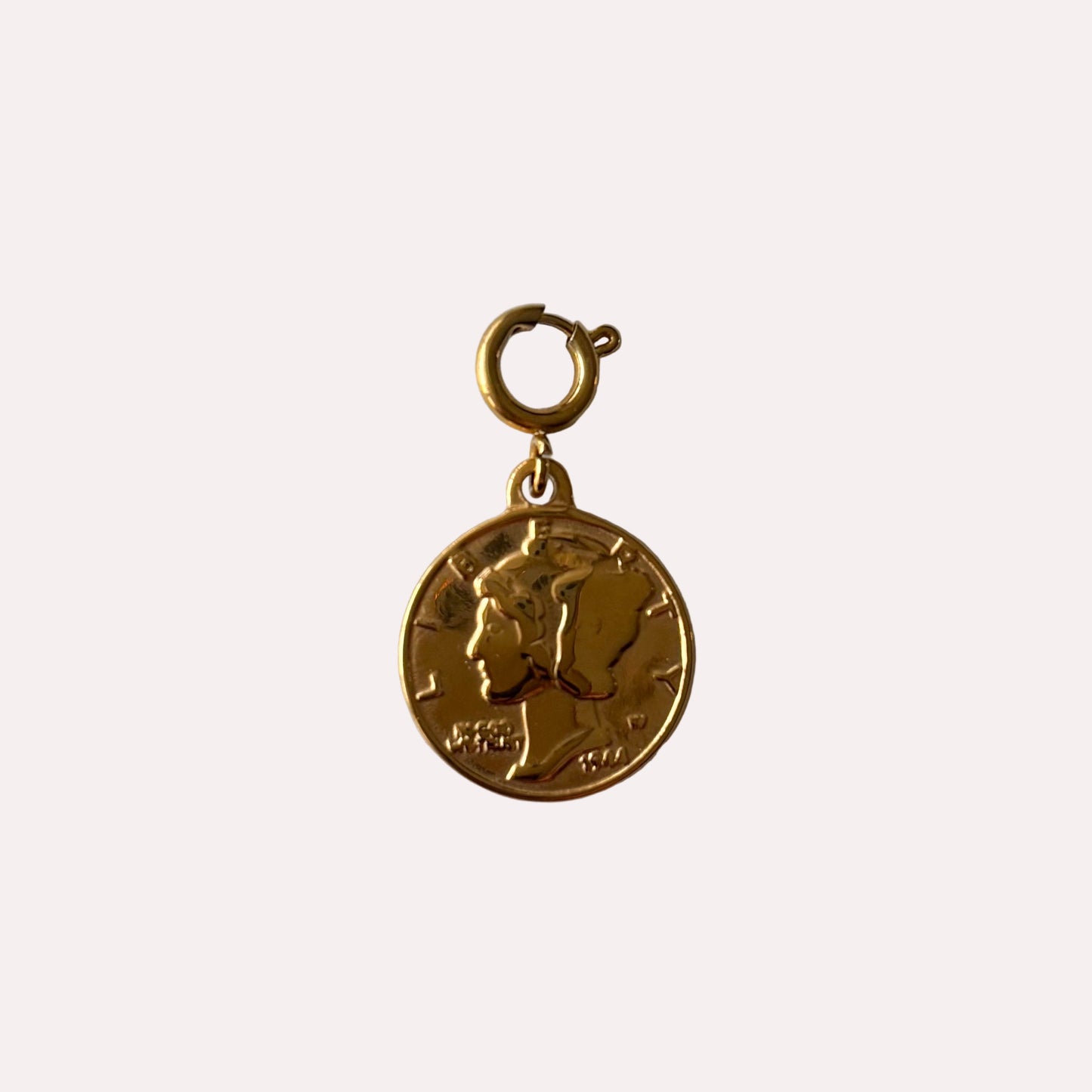 munt bedel goud stainless steel