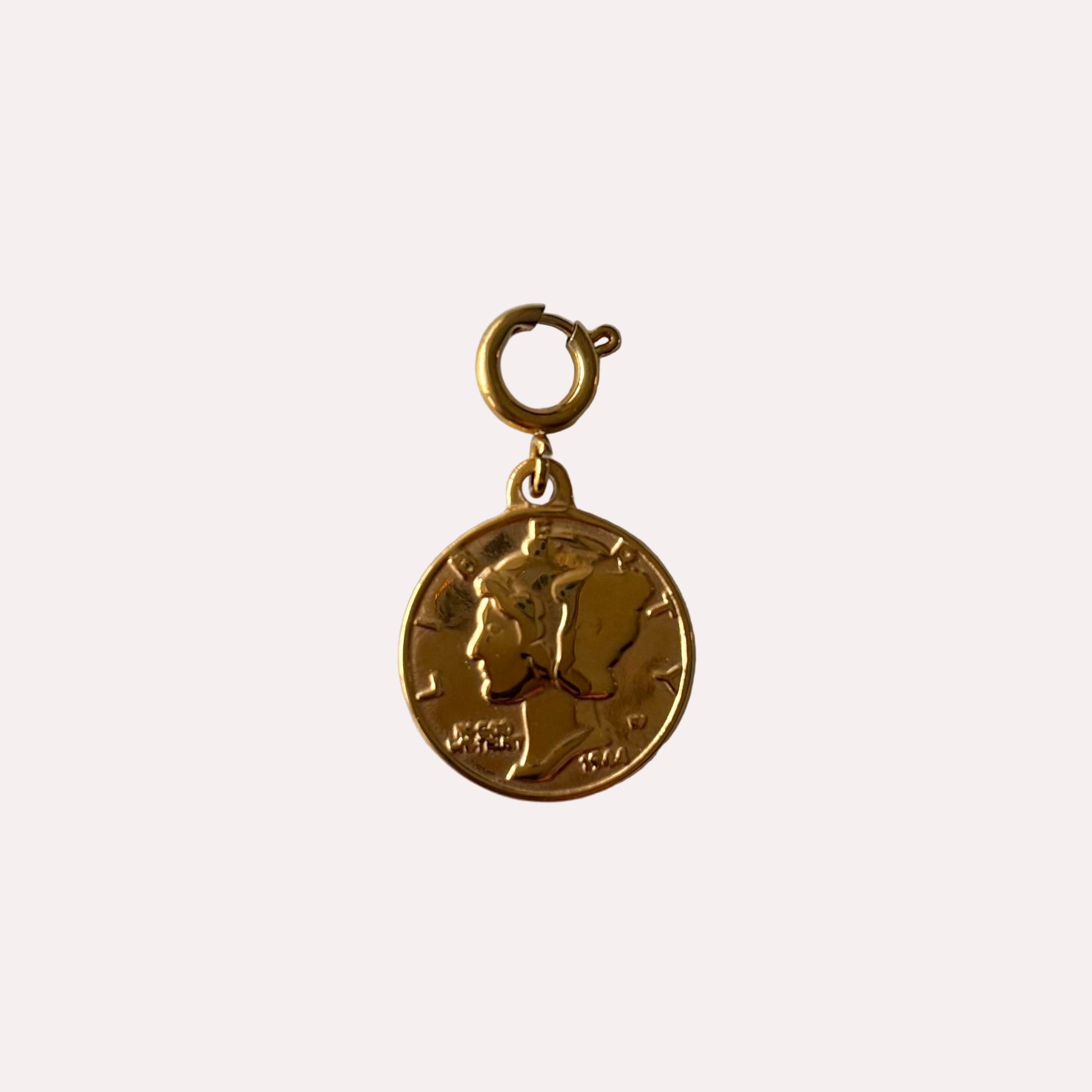 munt bedel goud stainless steel